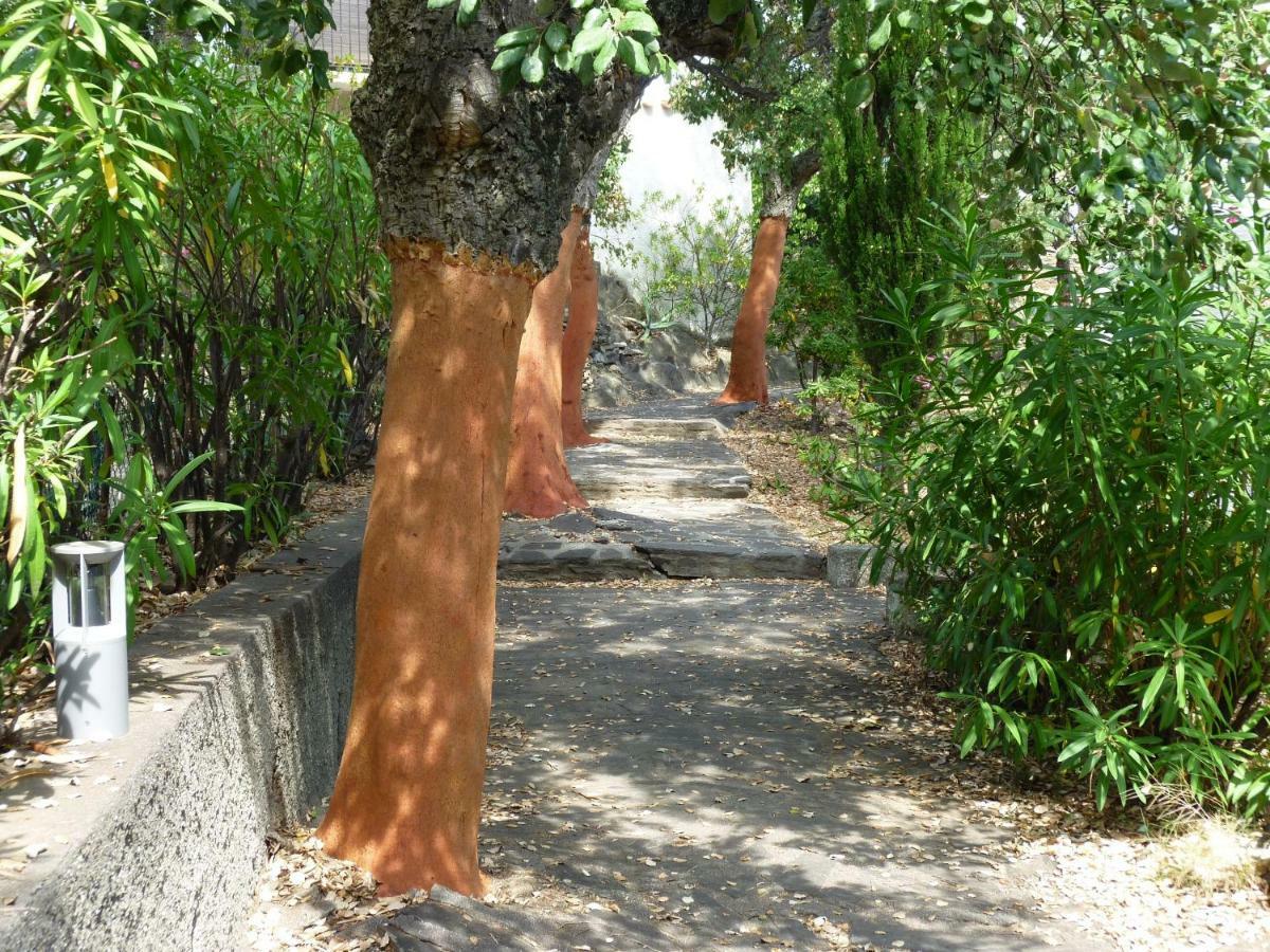 Les Mimosas Villa Collioure Exterior photo